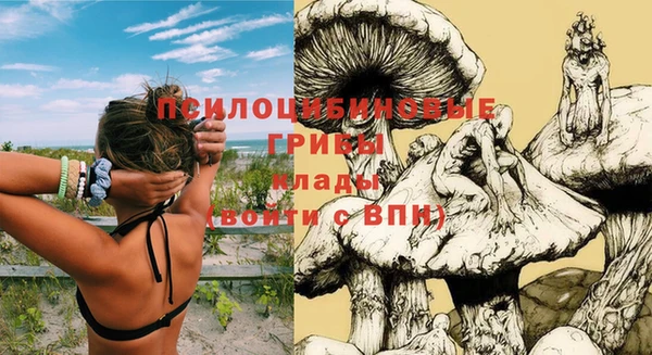 mdma Лихославль