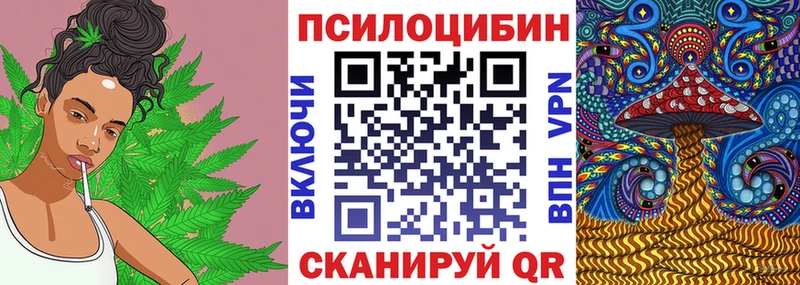 где купить наркоту  кракен маркетплейс  Псилоцибиновые грибы прущие грибы  Горячеводский 